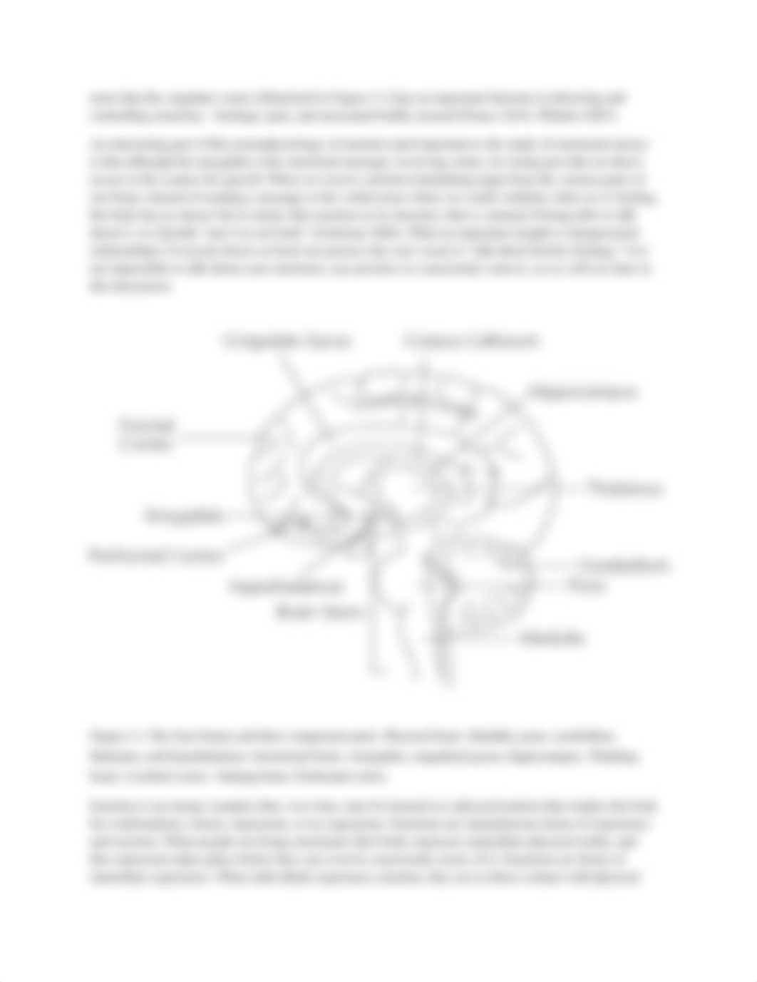 CHAPTER 5 STRESSFUL EMOTIONS.docx_dfrhddr072i_page2