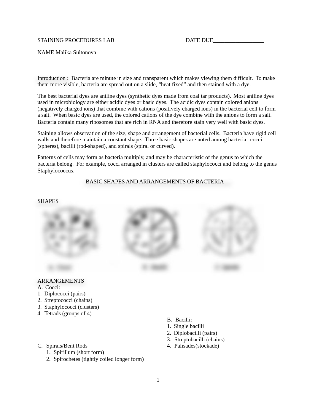 PANDEMIC LAB #2 STAINING PROCEDURES (1) (1).docx_dfrhyh7jwpy_page1