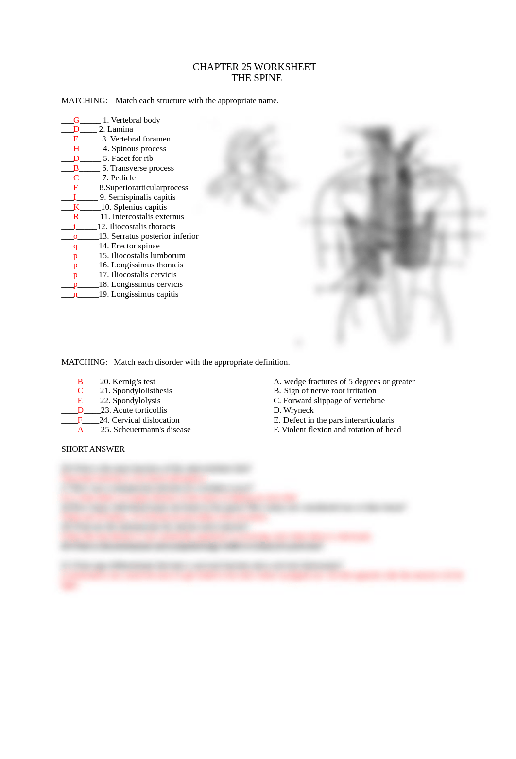 Worksheet25.docx_dfruhhfwoom_page1