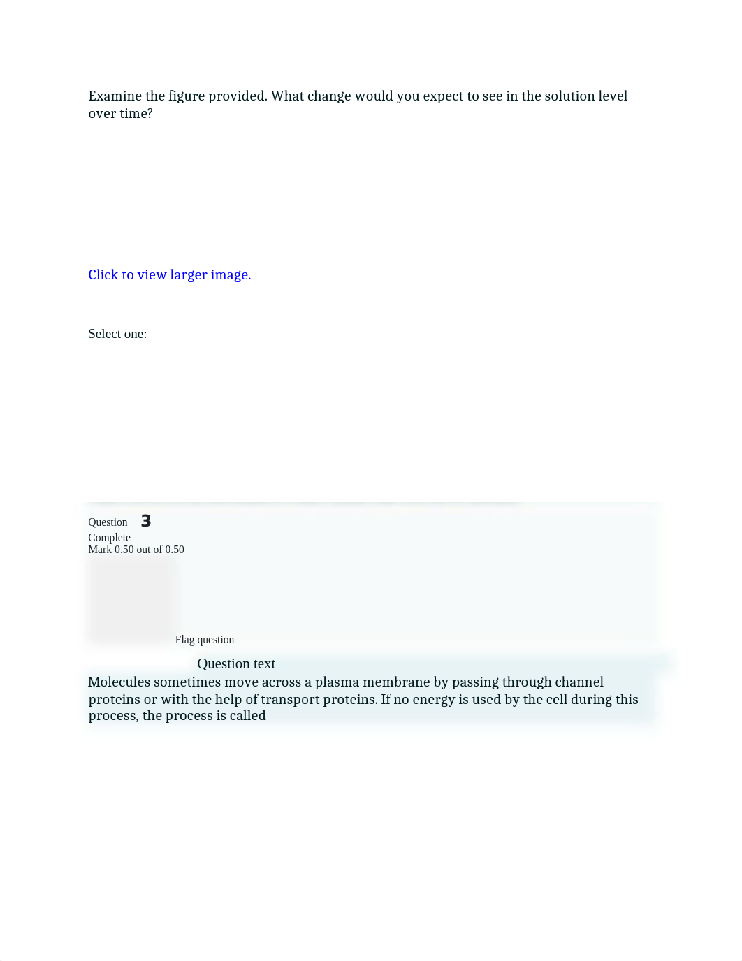 Biology 105 - Chapter 4 Quiz.docx_dfrwxj74942_page2