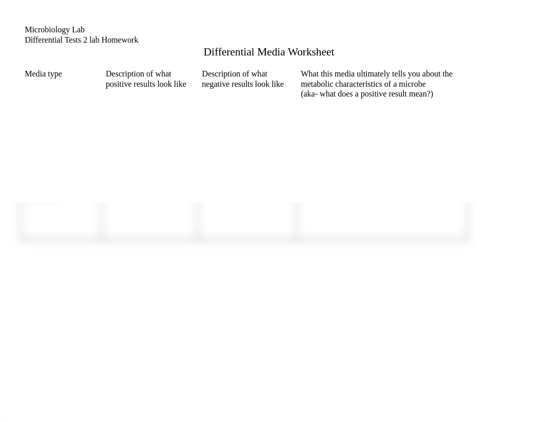 Differential Media Worksheet Edited.docx_dfrz65emq5l_page1