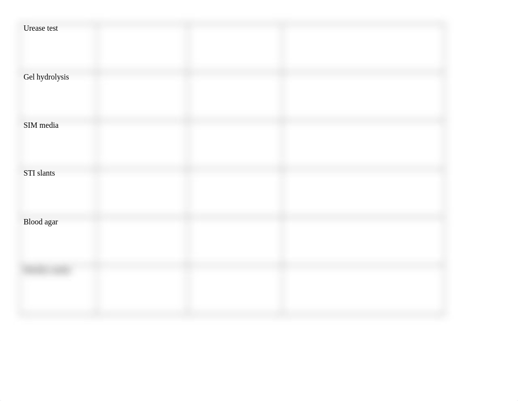 Differential Media Worksheet Edited.docx_dfrz65emq5l_page2