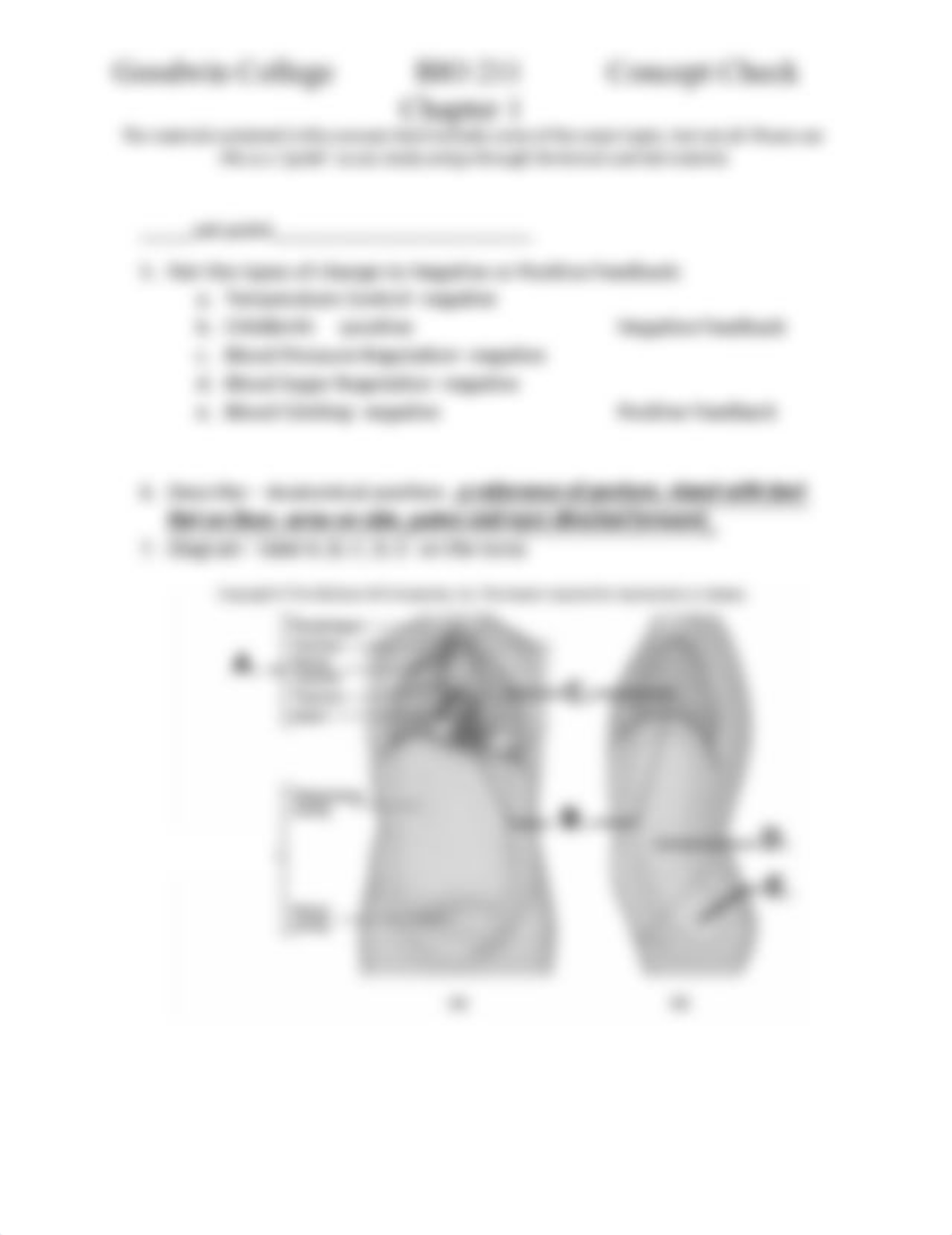 Atlas A and Chapter 1 Concept Check BIO211.docx_dfs51un3bqo_page2