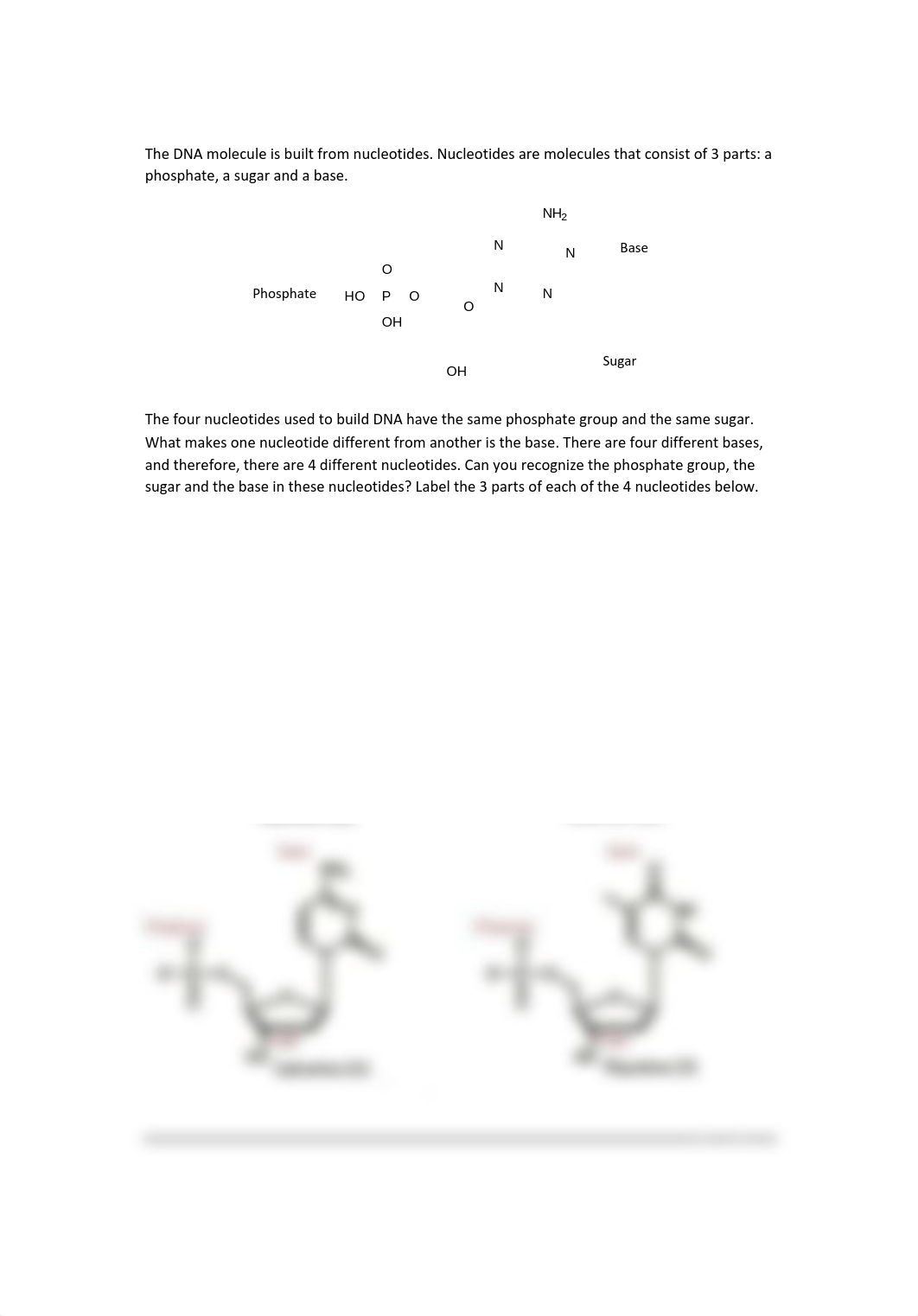 Khoi minh Nguyen - Chapter 7 Molecular Genetics.pdf_dfs688q7o2o_page2