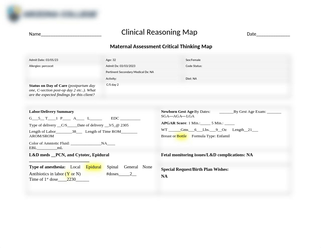 Care Map for Module 5 Postpartum Peeps.docx_dfs7piy6mpg_page1