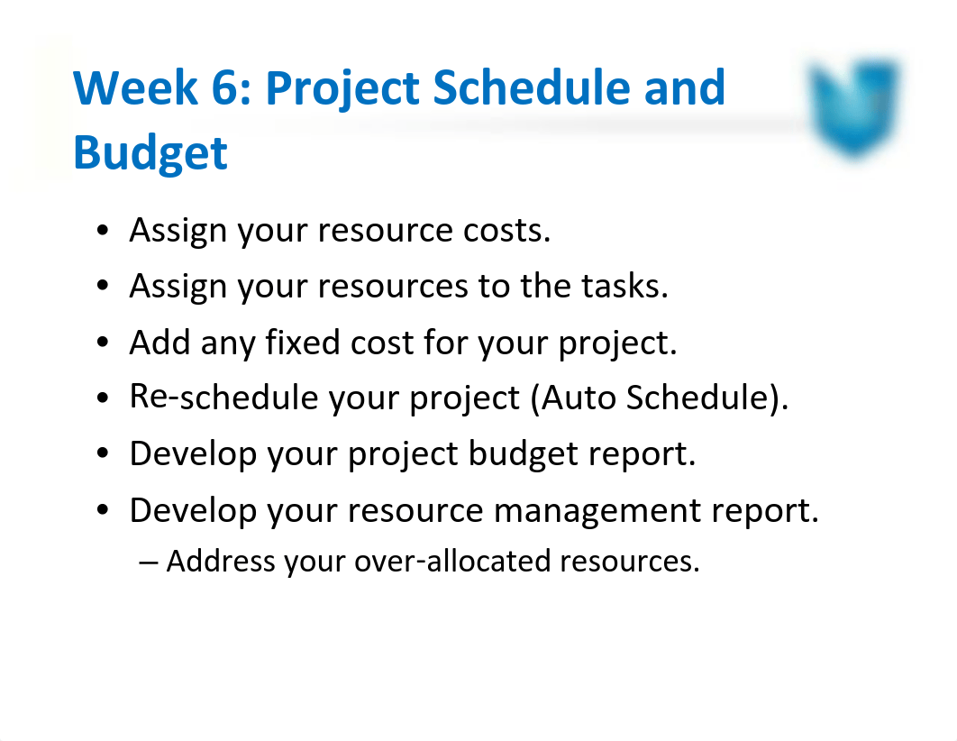 Week 6 - Project Schedule and Budget_dfs8npk2rxh_page2