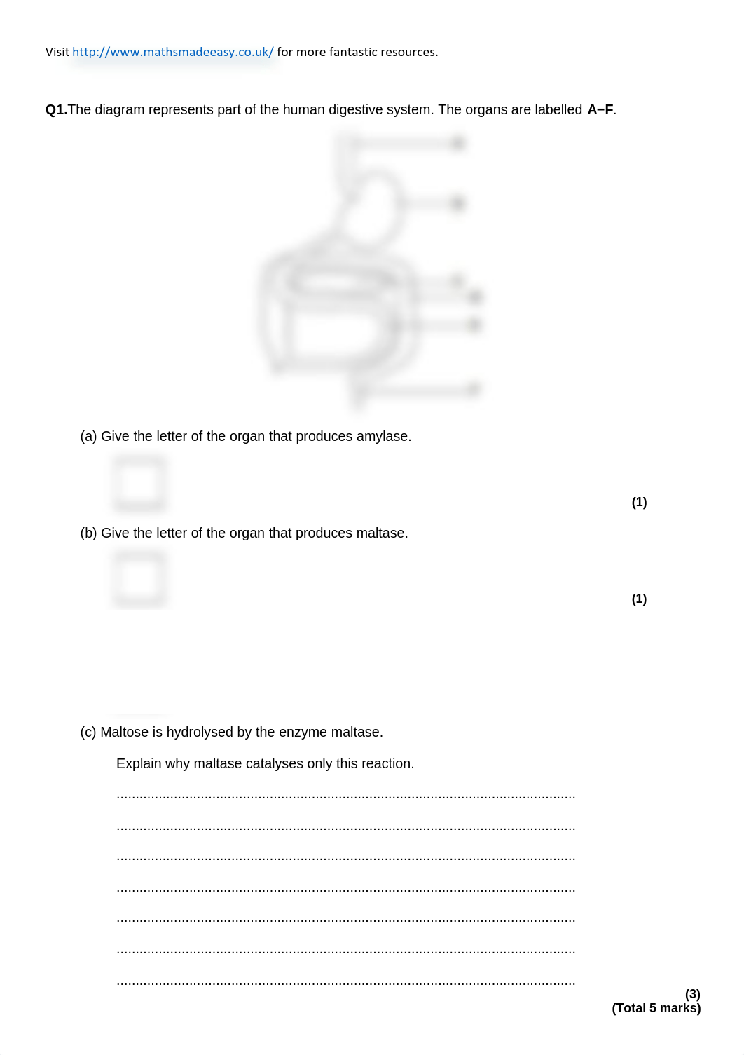 Biological-Moleucles-and-Enzymes-Exam-Paper-Revision-Questions.pdf_dfsa0audcir_page2