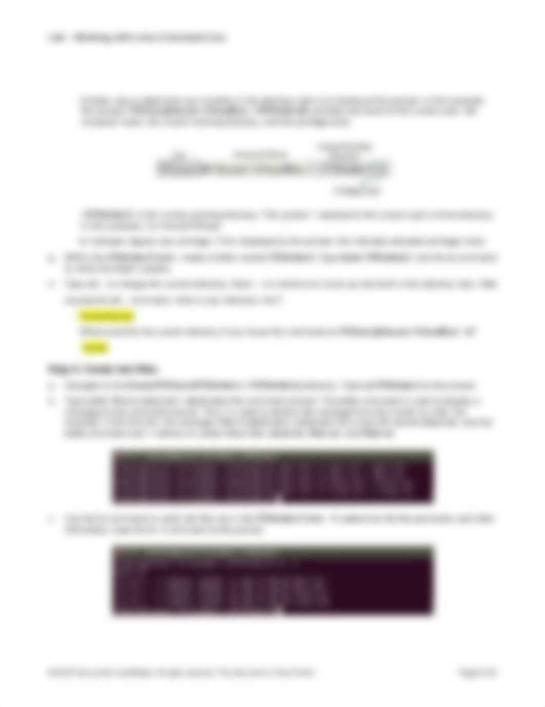 10.4.3.3 Lab - Working with the Linux Command Line.docx_dfseohioyph_page3