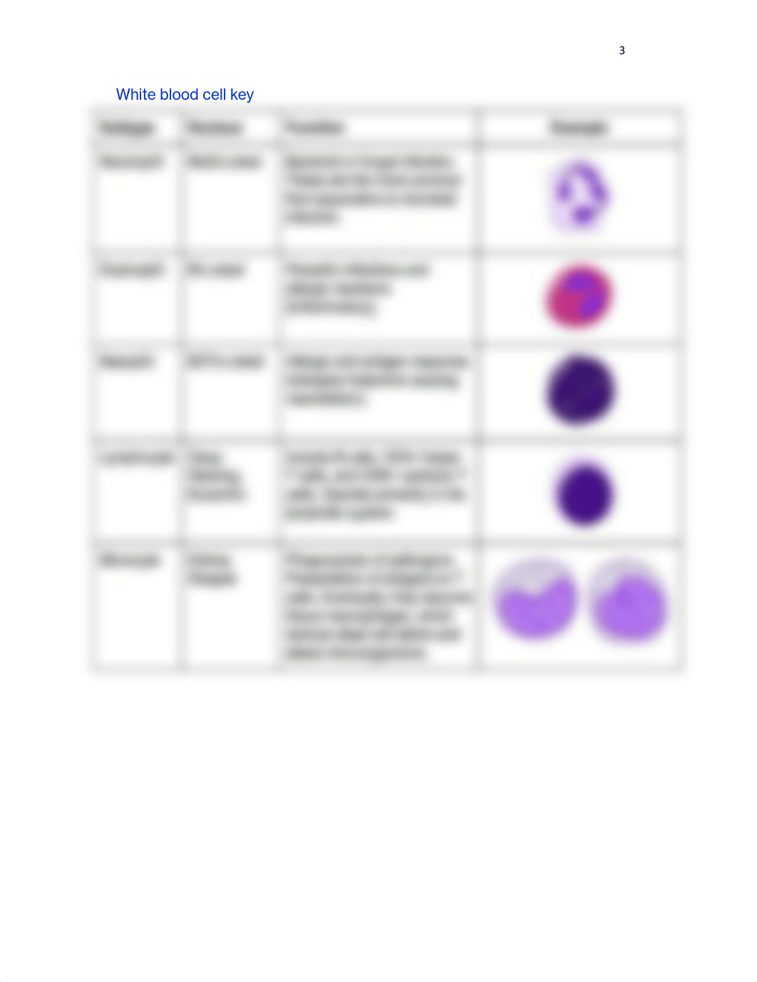 LAB 10 ASSIGNMENT.pdf_dfsgwe5sa9o_page3