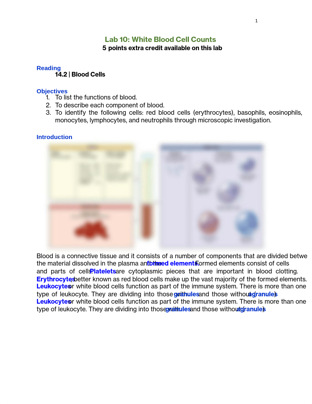 LAB 10 ASSIGNMENT.pdf_dfsgwe5sa9o_page1