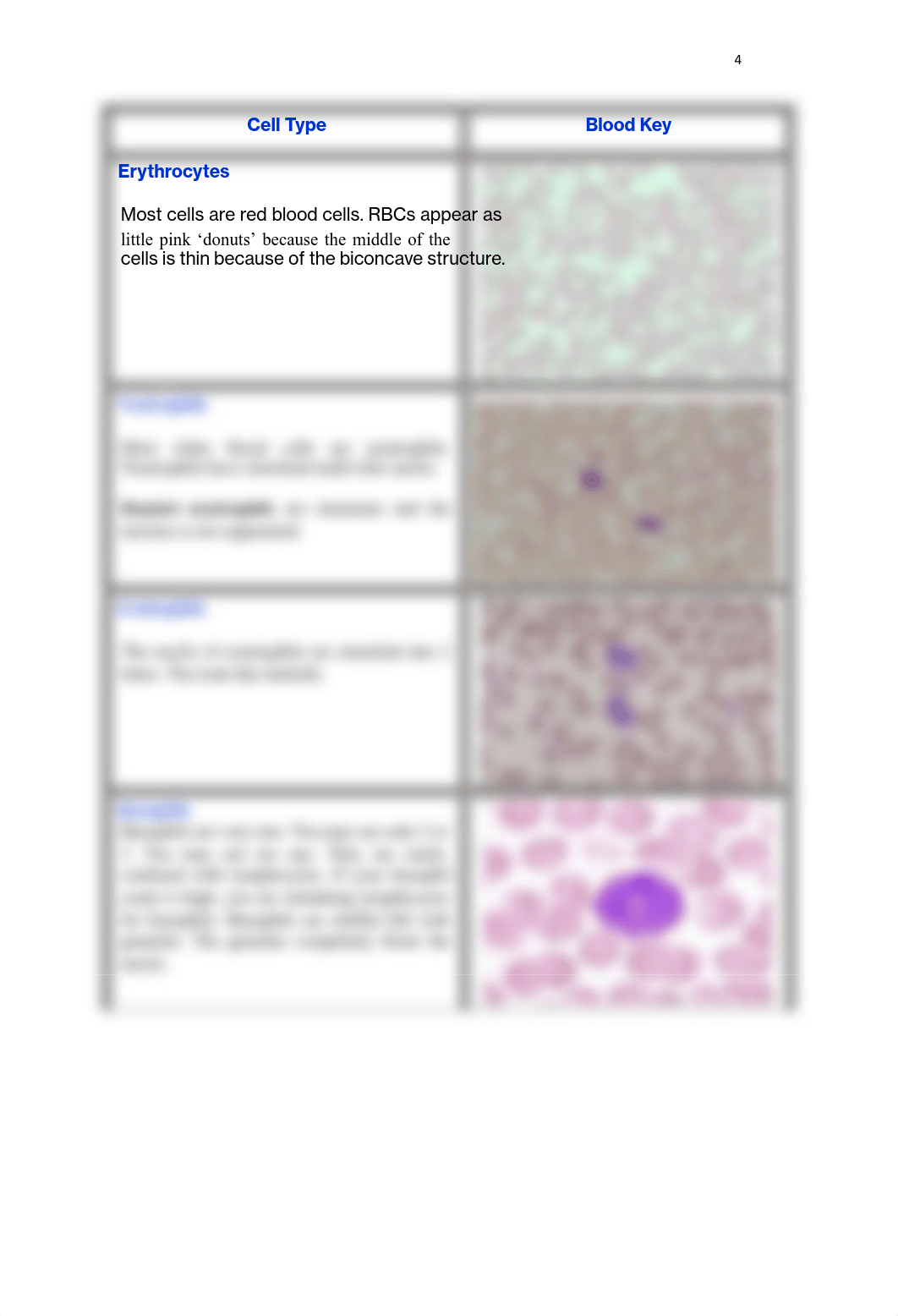 LAB 10 ASSIGNMENT.pdf_dfsgwe5sa9o_page4