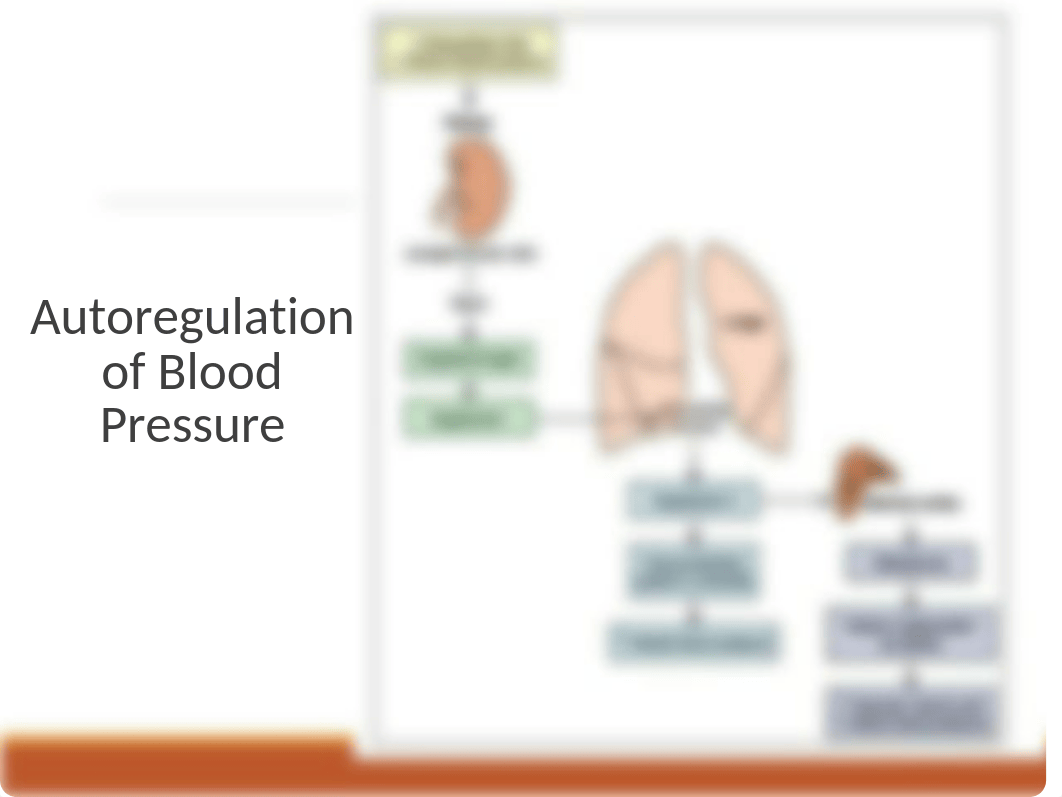 Renal Disorders PPT (2)_dfsomna8j38_page5