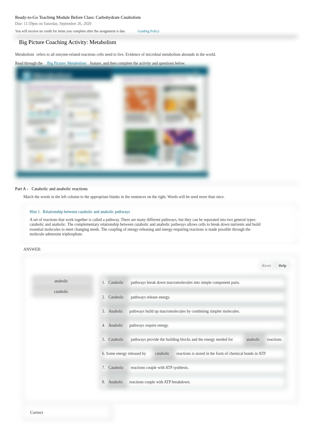 Carbohydrate Catabolism.pdf_dfsrsmyfo3j_page1