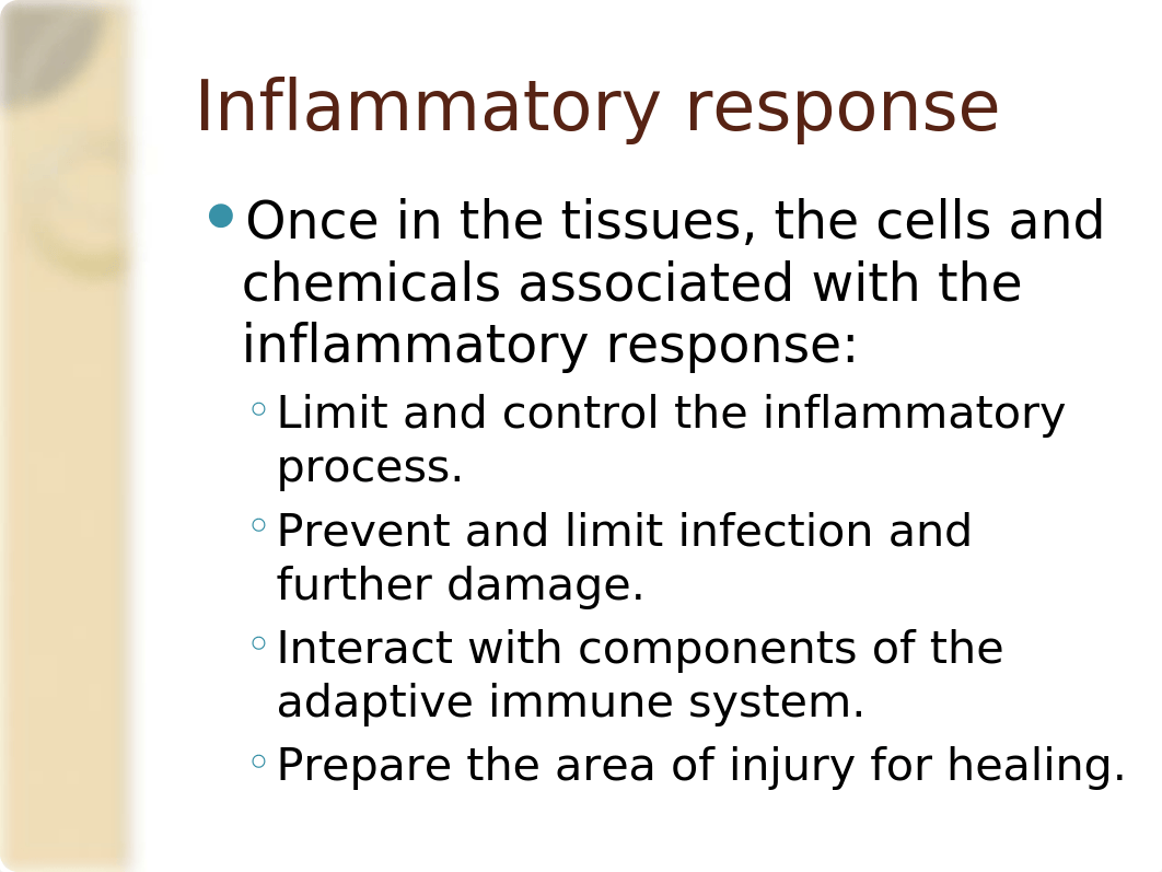 Inflammation_Healing_SV(1)-2.pptx_dft2dbgcejd_page5