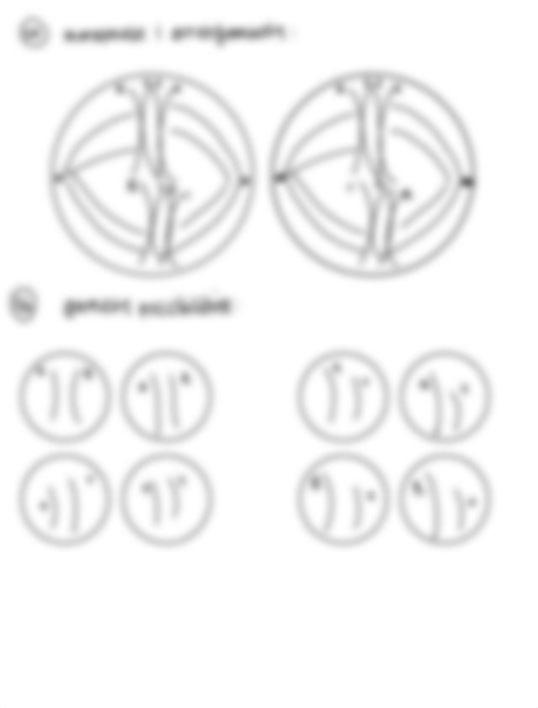 Ch.12+Mitosis+and+Meiosis+Postlab_SP21.pdf_dft30c9divp_page2