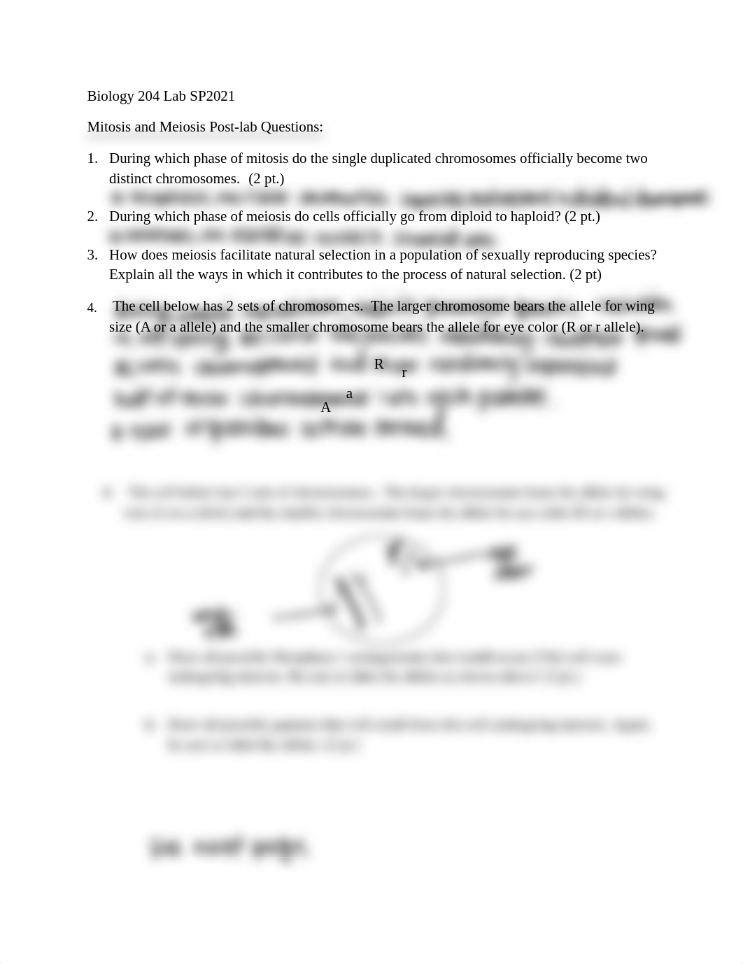 Ch.12+Mitosis+and+Meiosis+Postlab_SP21.pdf_dft30c9divp_page1