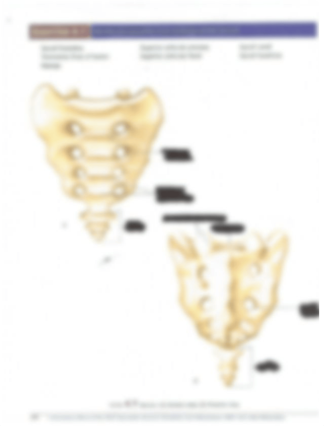 LAB405102015_dft33aye8en_page2