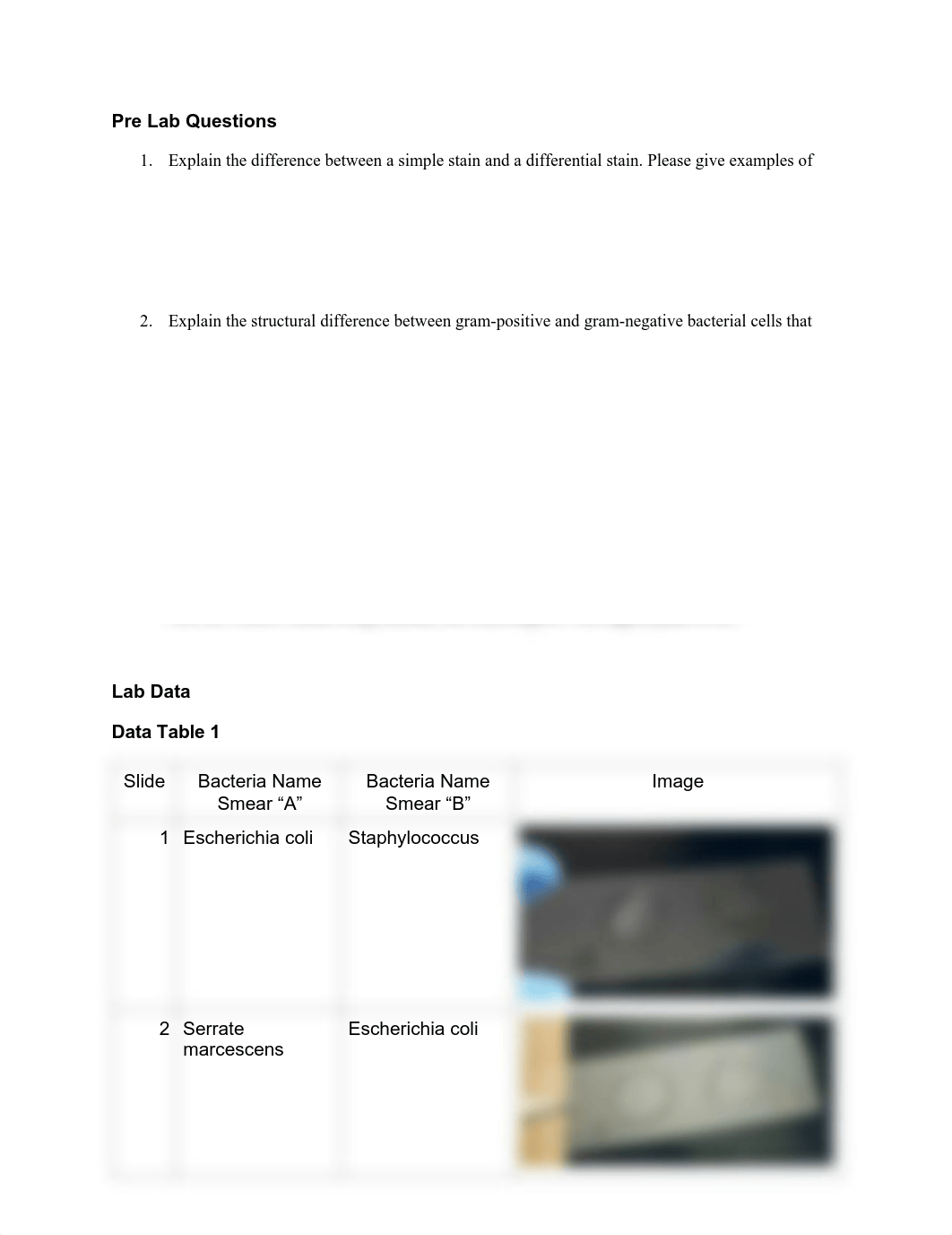 580774 Simple_Differential Staining Q-1.pdf_dftg8qx9qyd_page1