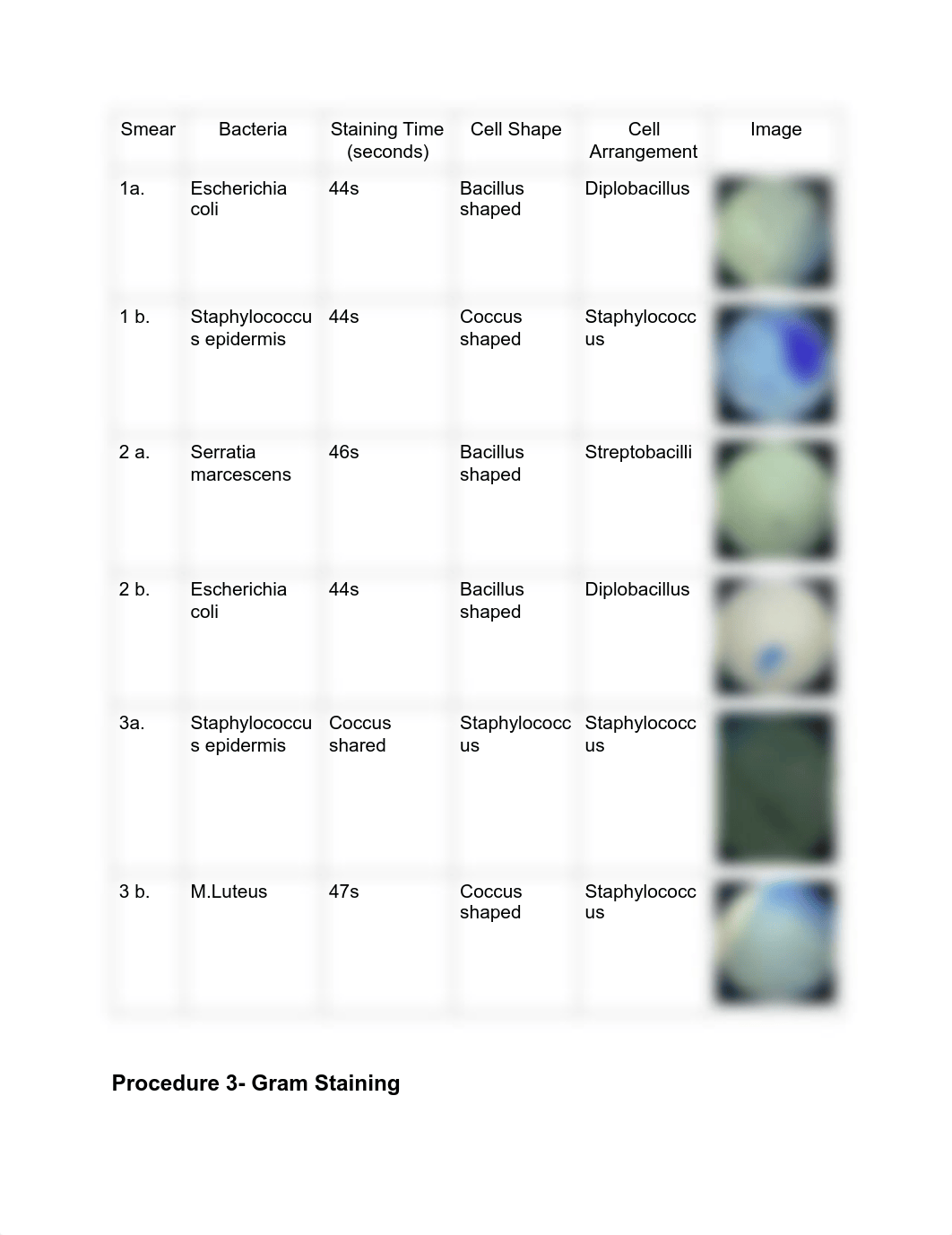 580774 Simple_Differential Staining Q-1.pdf_dftg8qx9qyd_page3