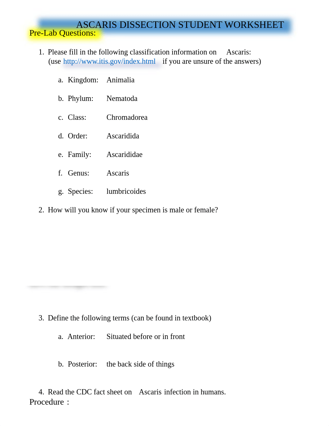 ASCARIS DISSECTION STUDENT WORKSHEET.pdf_dftig510nyf_page2