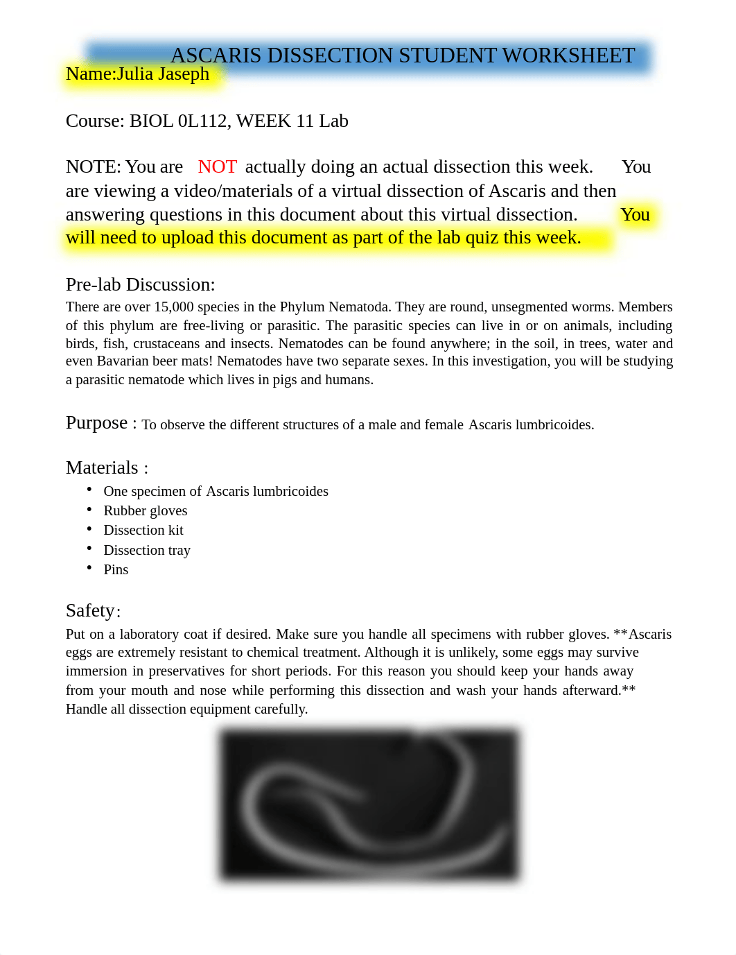 ASCARIS DISSECTION STUDENT WORKSHEET.pdf_dftig510nyf_page1