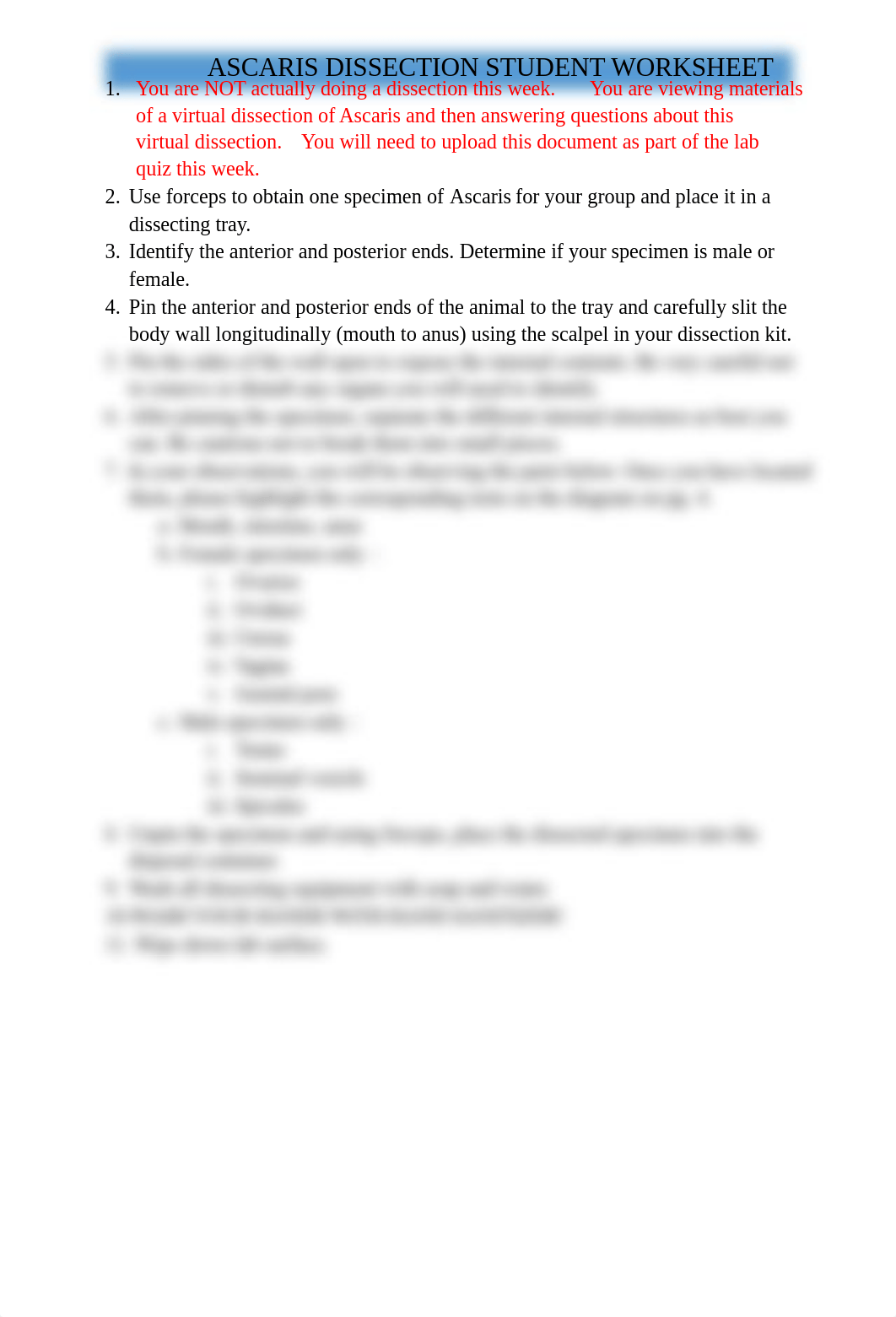 ASCARIS DISSECTION STUDENT WORKSHEET.pdf_dftig510nyf_page3