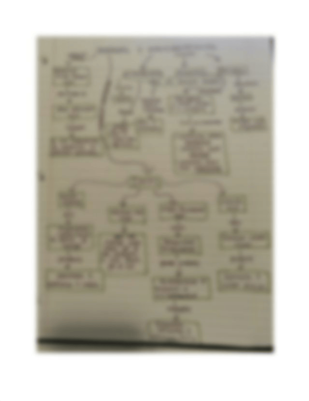 antibiotic & enterobacteriacea concept map.pdf_dftk45to5er_page1