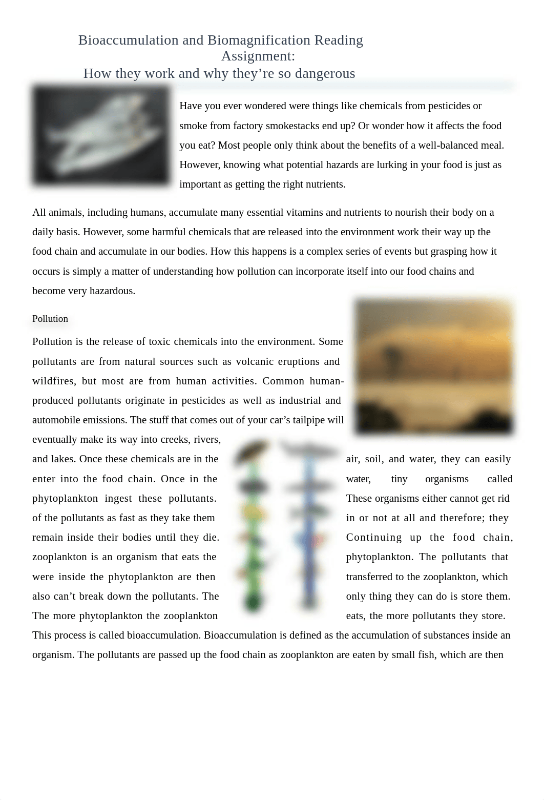 Bioaccumulation+BiomagnificationReading.docx_dftlcw109uz_page1