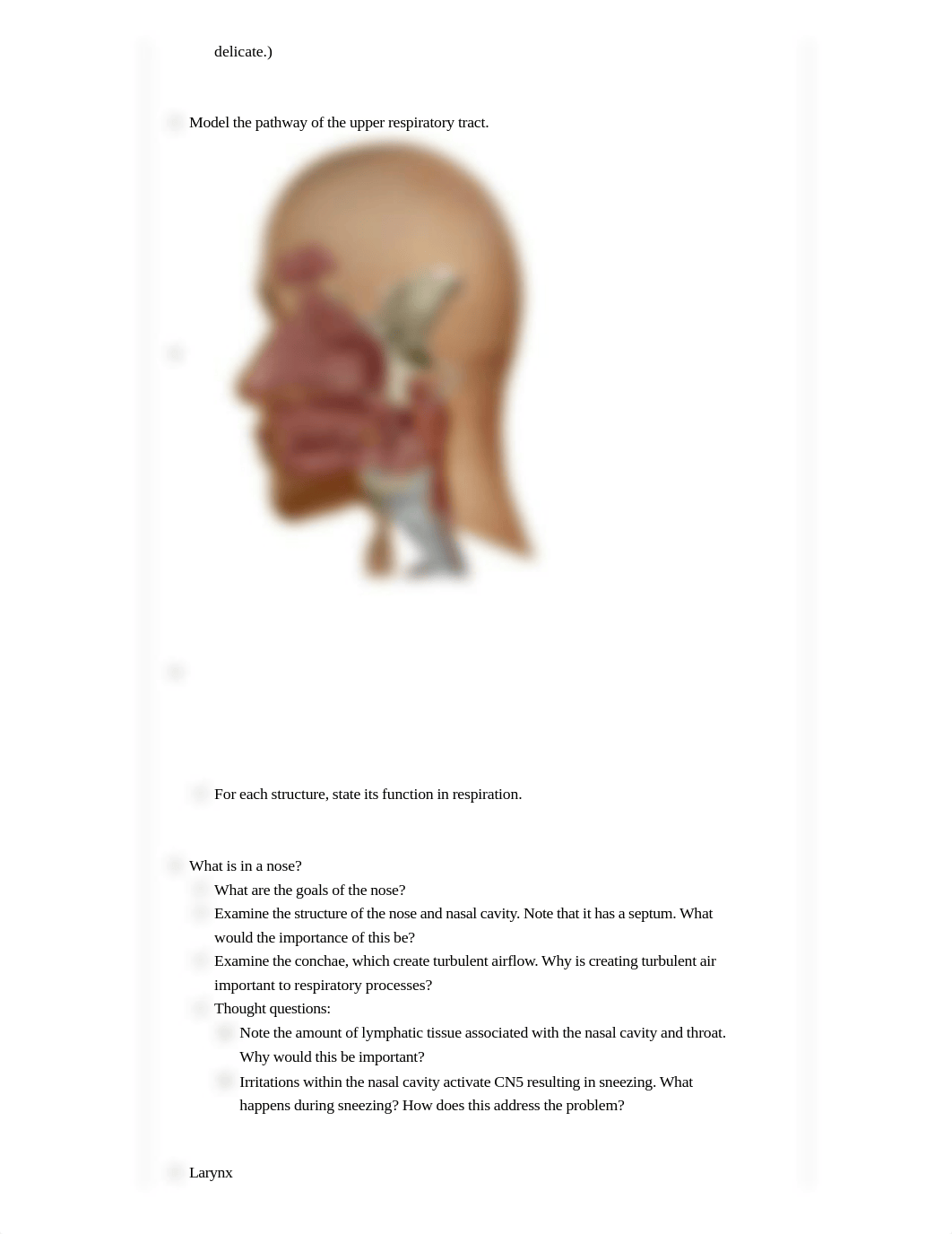 ?Lab Questions Respiratory System ? 20004 - BIOL 4 (Human Anatomy).pdf_dftoex8hqew_page2