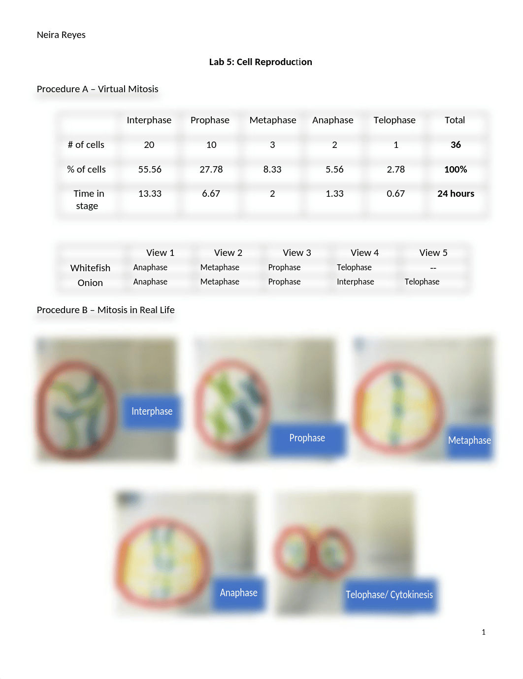 Lab 5.docx_dftrekuggdu_page1