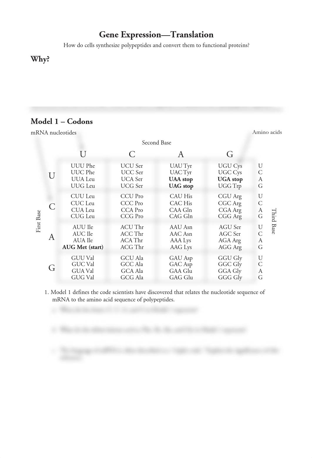 Anya Khan - Protein Synthesis -Translation POGIL.pdf_dfu4zjeq7jp_page1