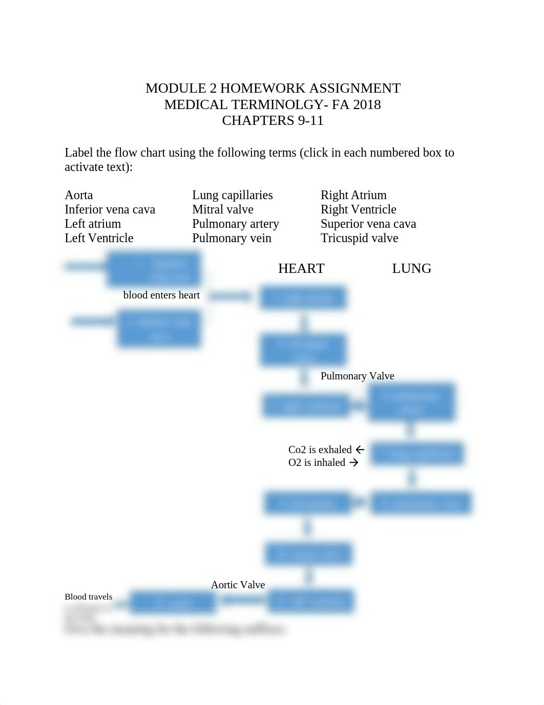 Module 3 Homework.docx_dfue4g7m67y_page1