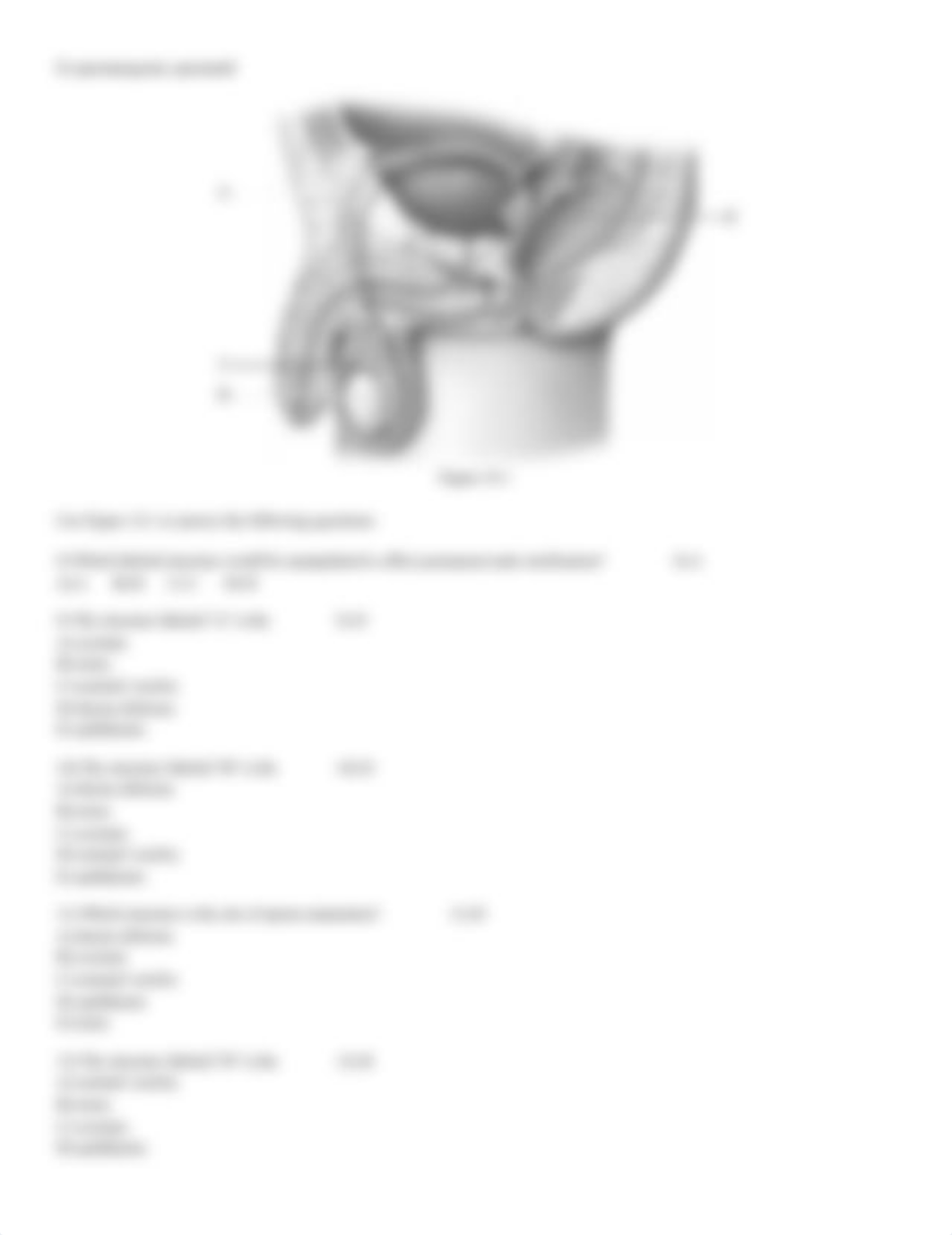 Reproductive-bio256 wk6 hw.docx_dfuh382gxip_page2