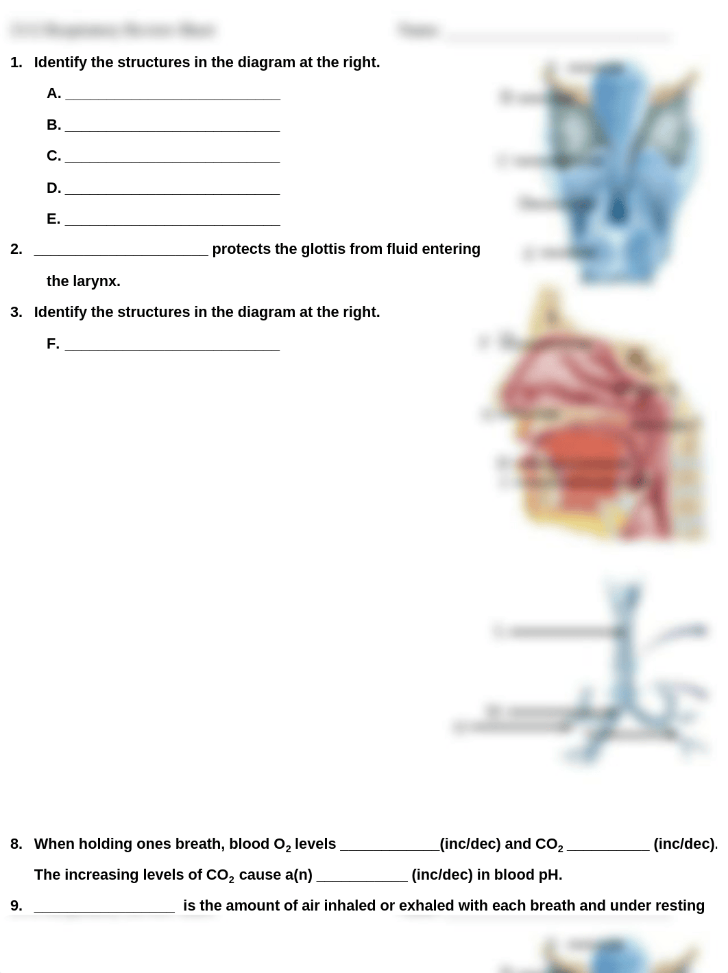 2112 Respiratory Review .pdf_dfui6z4mpws_page1