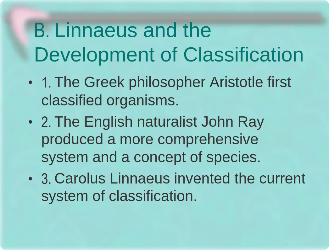 Chapter 10 - Classification and Phylogeny of Animals - Notes_dfuq87x0uh1_page4