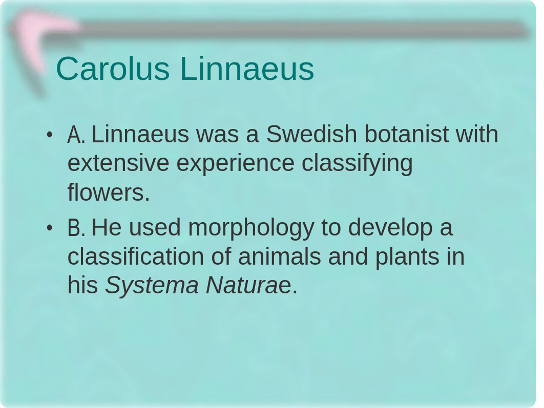 Chapter 10 - Classification and Phylogeny of Animals - Notes_dfuq87x0uh1_page5