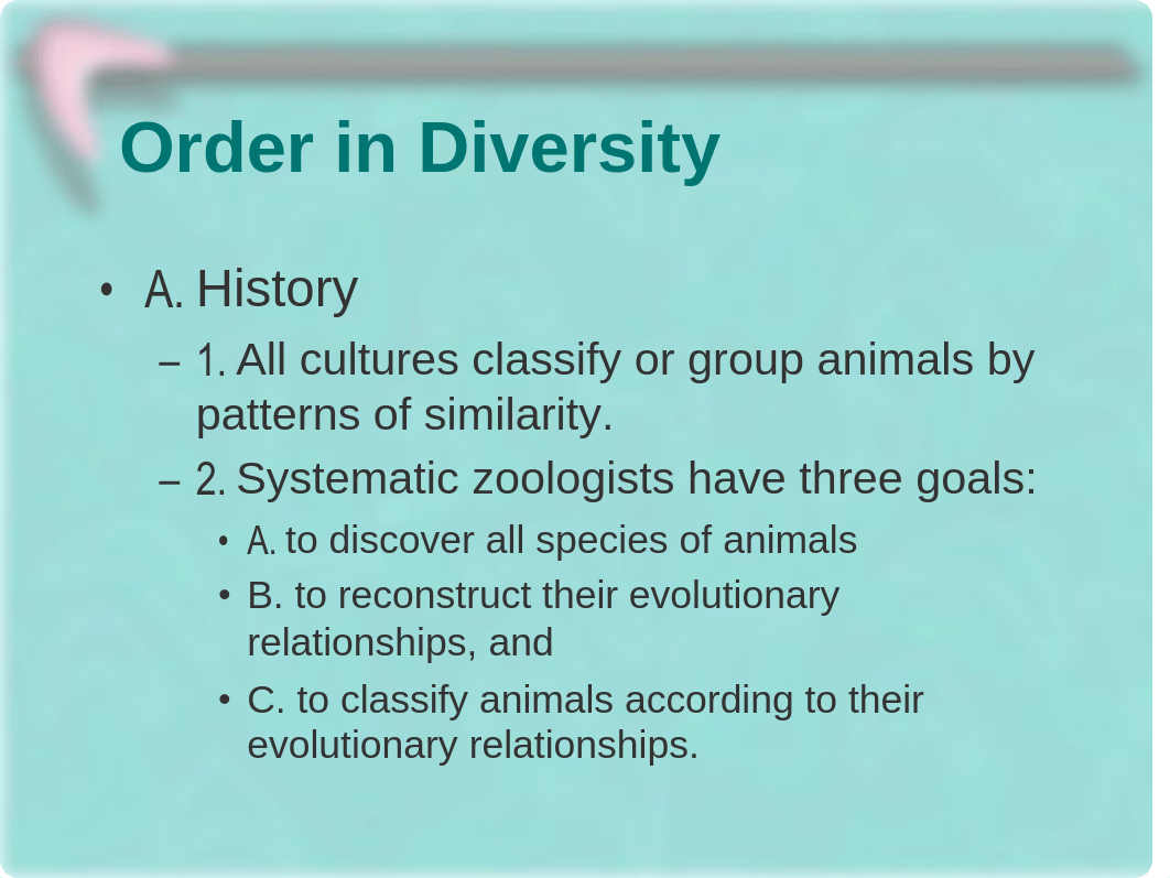 Chapter 10 - Classification and Phylogeny of Animals - Notes_dfuq87x0uh1_page2