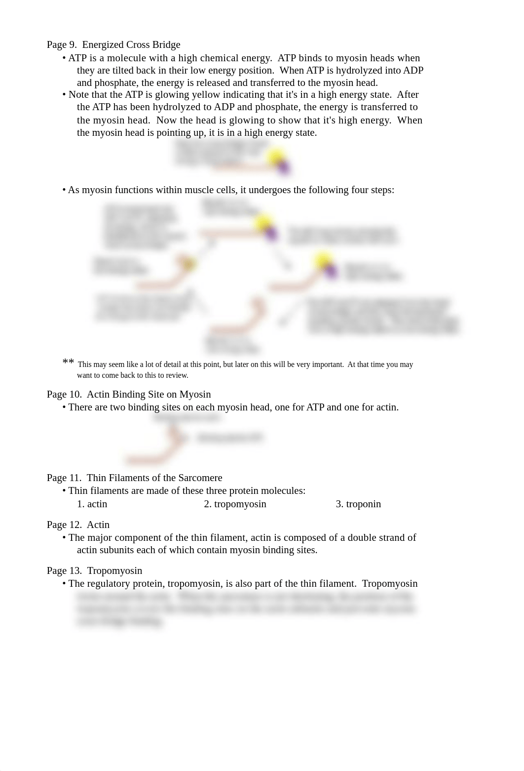 Sliding_Filament_Theory.doc_dfuz7dh0vyh_page2