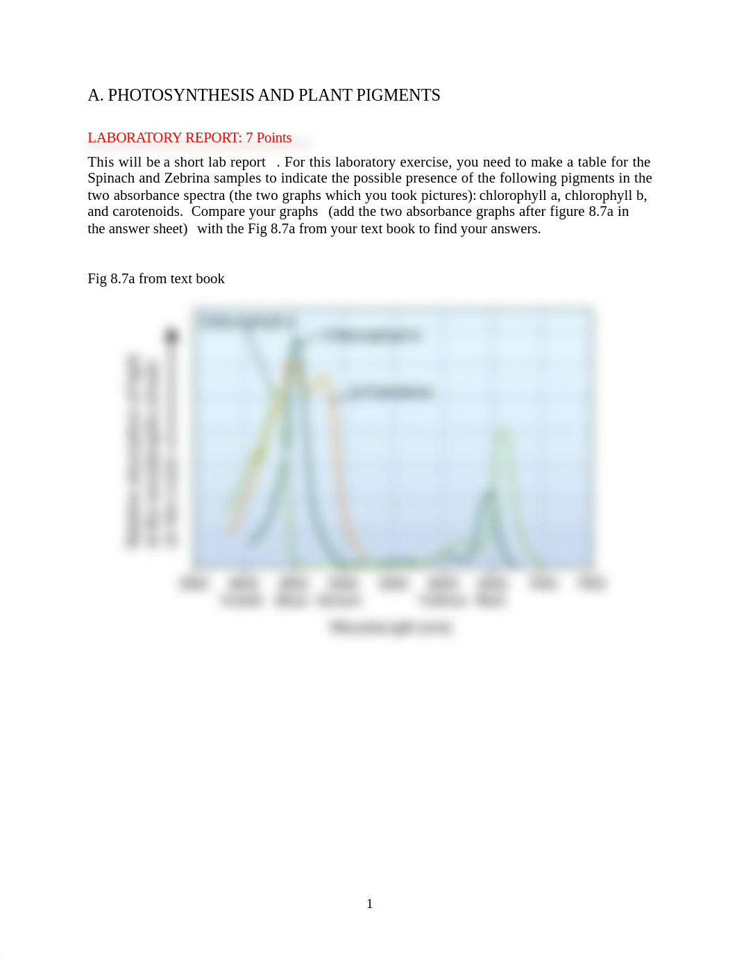 Lab Report 8 Answer Sheet_Photosynthesis Respiration & Fermentation (1).docx_dfv4sbyjhkp_page1