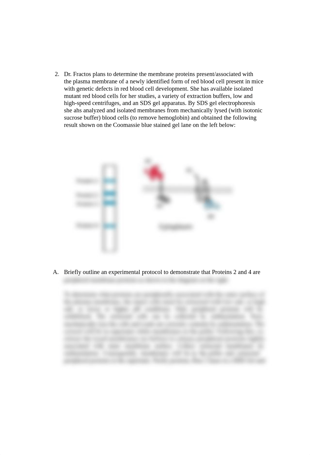 Biology Problem Set #8_dfv734691zr_page2