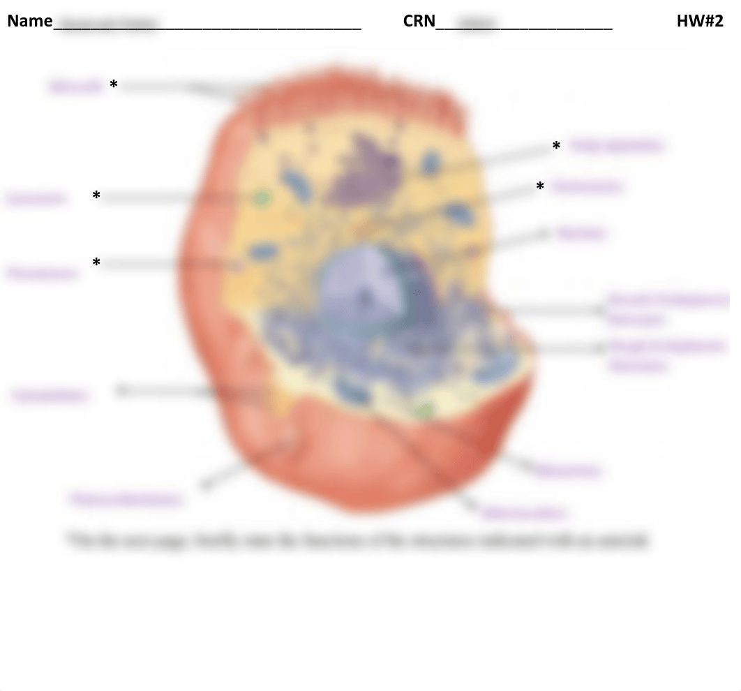 Kami Export - HW2.pdf_dfvain9q234_page1