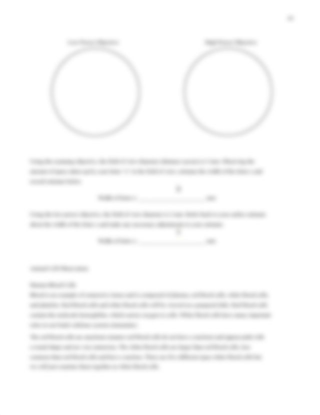 Lab04 Cell Observation S22 (fillable).pdf_dfvgmo55j58_page4