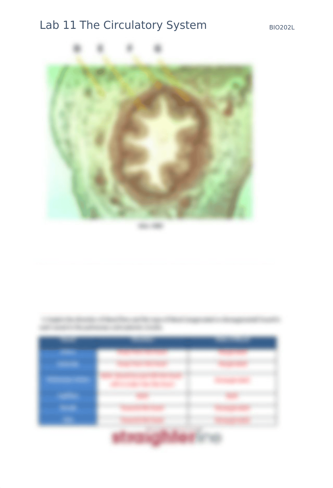 BIO202L+Lab+11+Upload+Document (2).docx_dfvjynq6r5p_page3