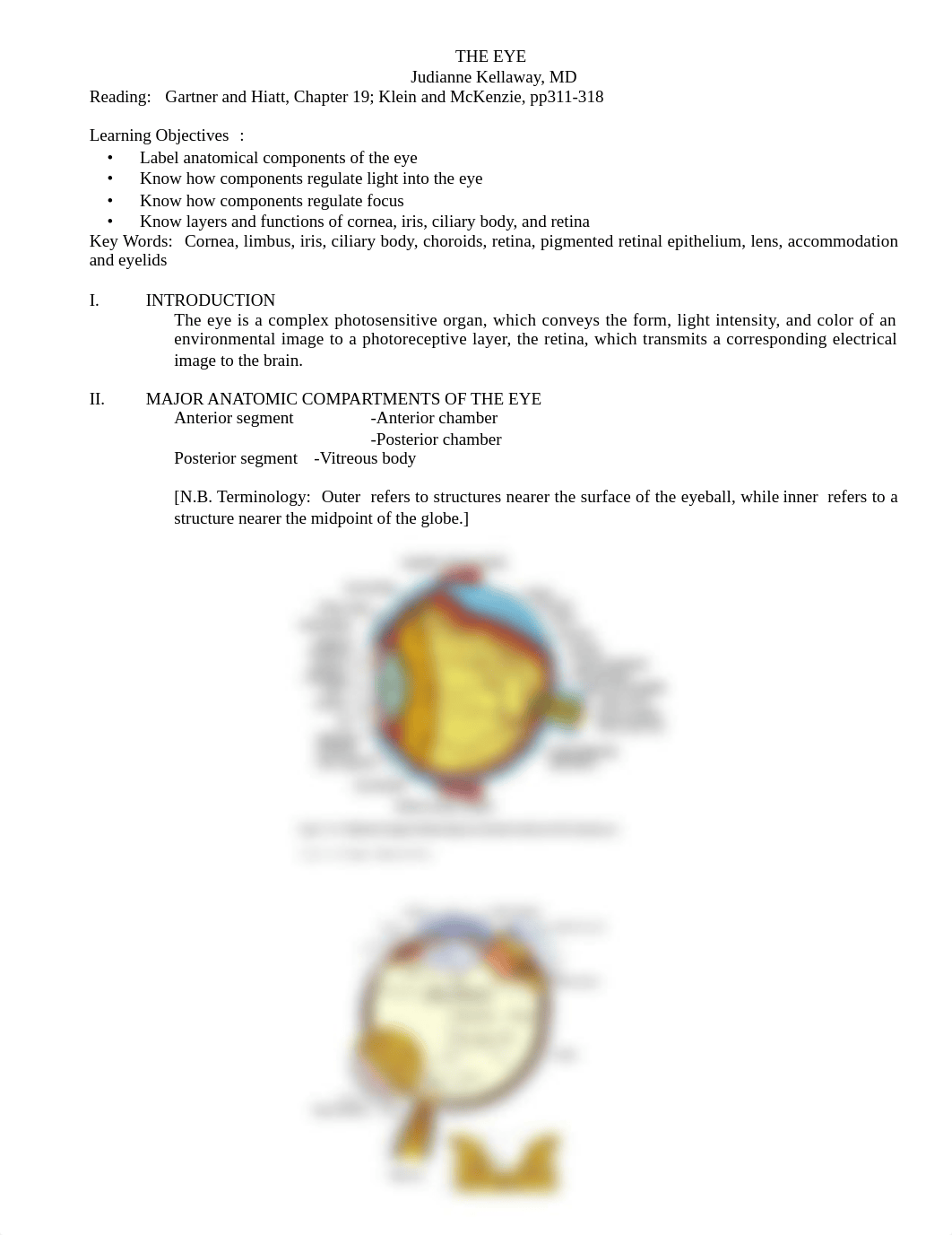 2010 EYE + ACCOMODATION Complete +lab_dfvmll9owrx_page1