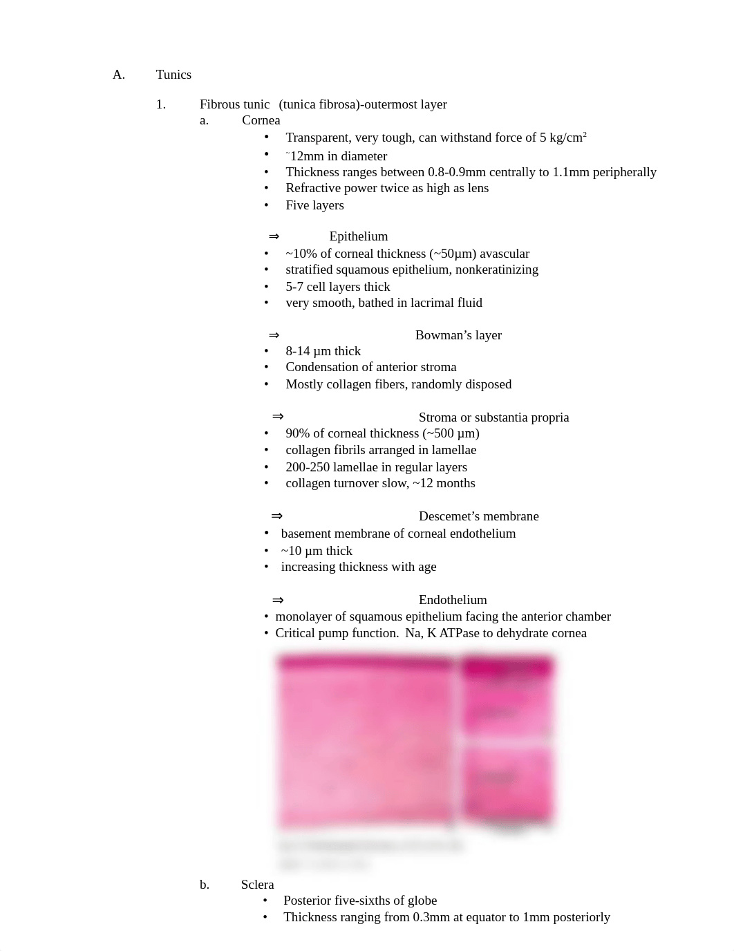 2010 EYE + ACCOMODATION Complete +lab_dfvmll9owrx_page2