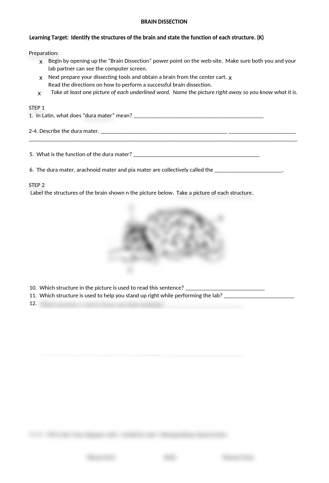 9_18 Brain dissection worksheet.docx_dfvu71ym88e_page1