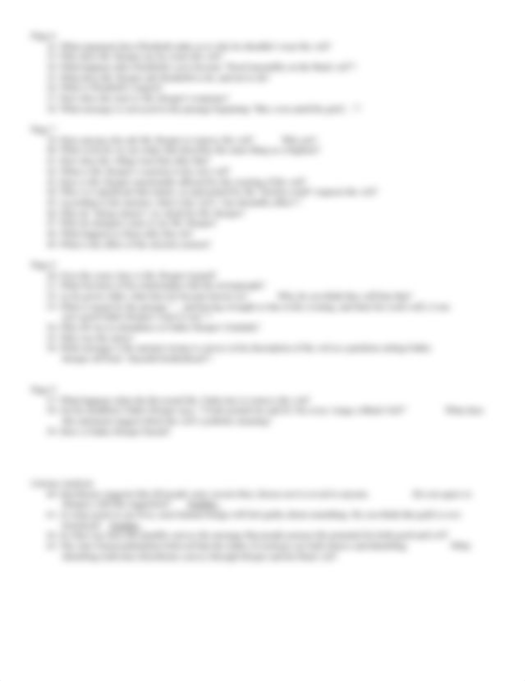 The_Ministers_Black_Veil_Study_Guide.doc_dfw08b1wb79_page2