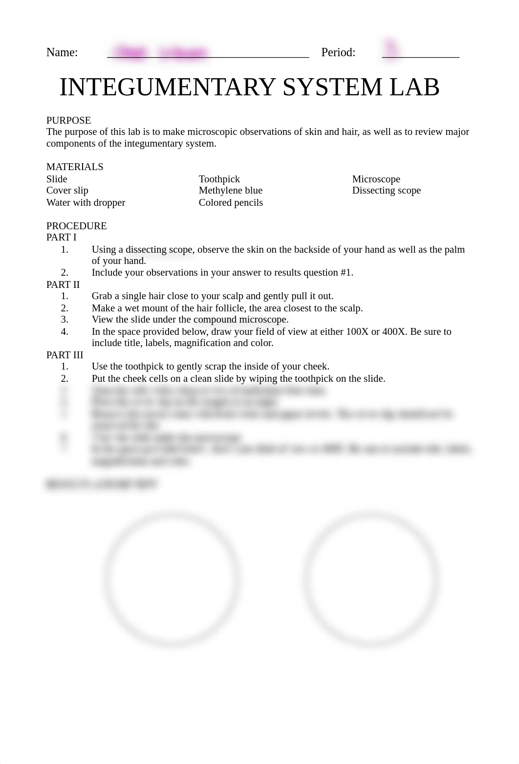 Integumentary_Lab_dfw2tlt06o8_page1