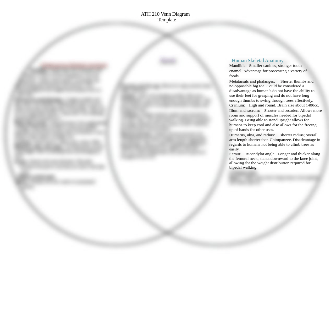 ATH 210 Venn Diagram.pdf_dfwiofnjkp8_page1