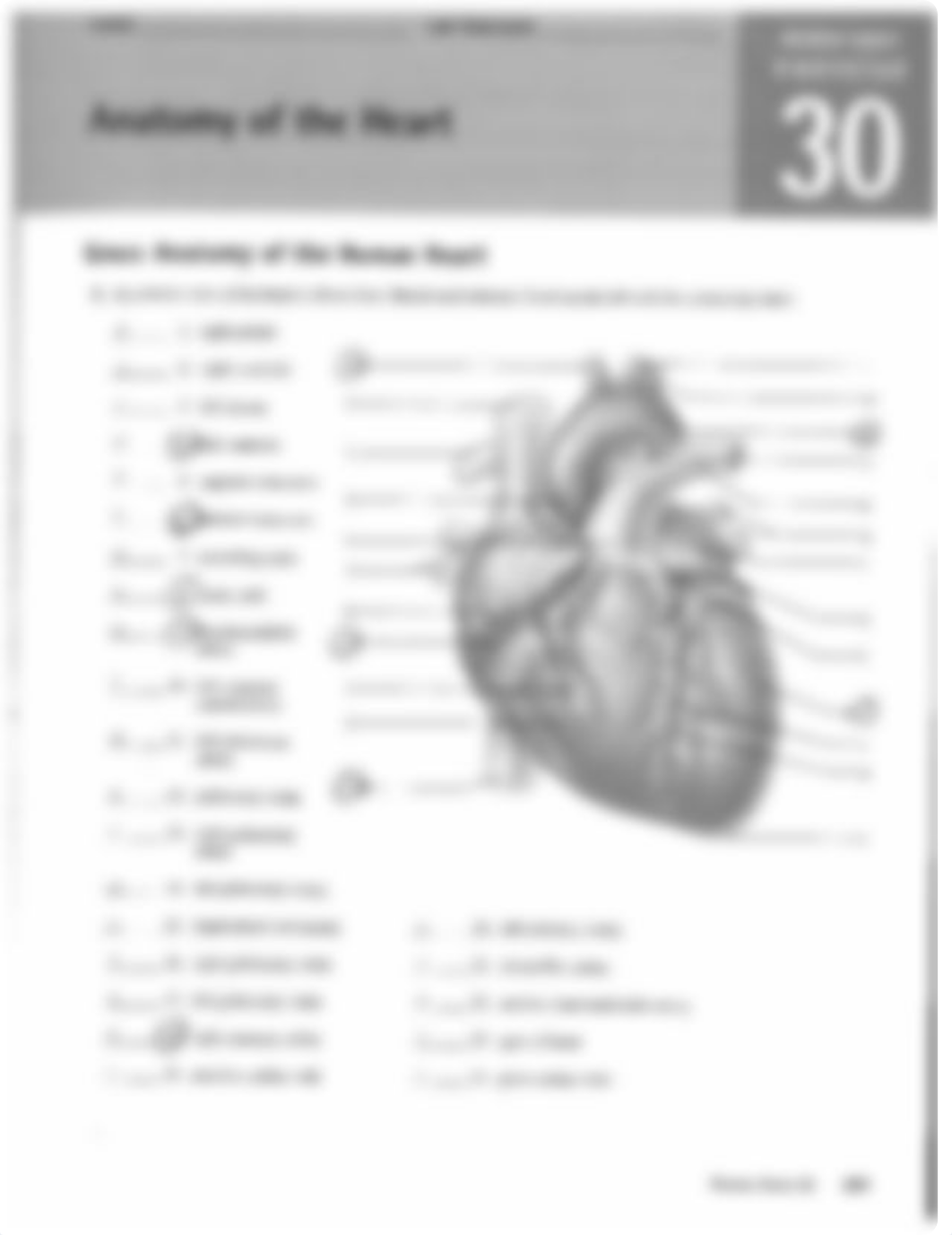 Ex 30_Heart_ANS.pdf_dfwrgu3zm8v_page1